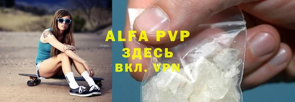 гидра Аркадак
