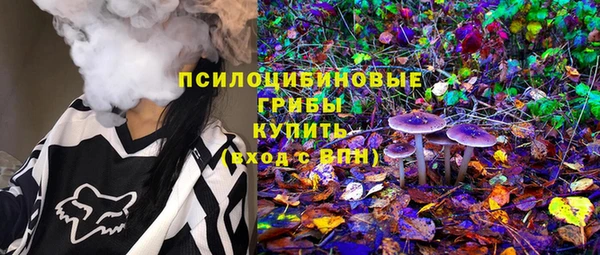 гидра Аркадак