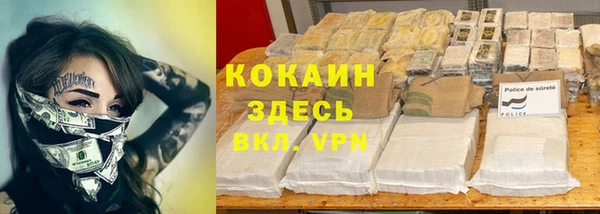 гидра Аркадак