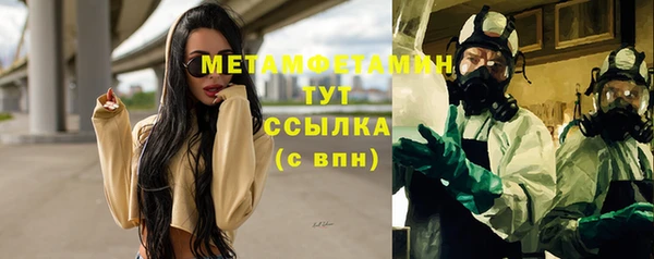 гидра Аркадак