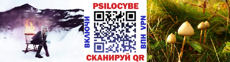 Галлюциногенные грибы Psilocybine cubensis  где продают   Омутнинск 